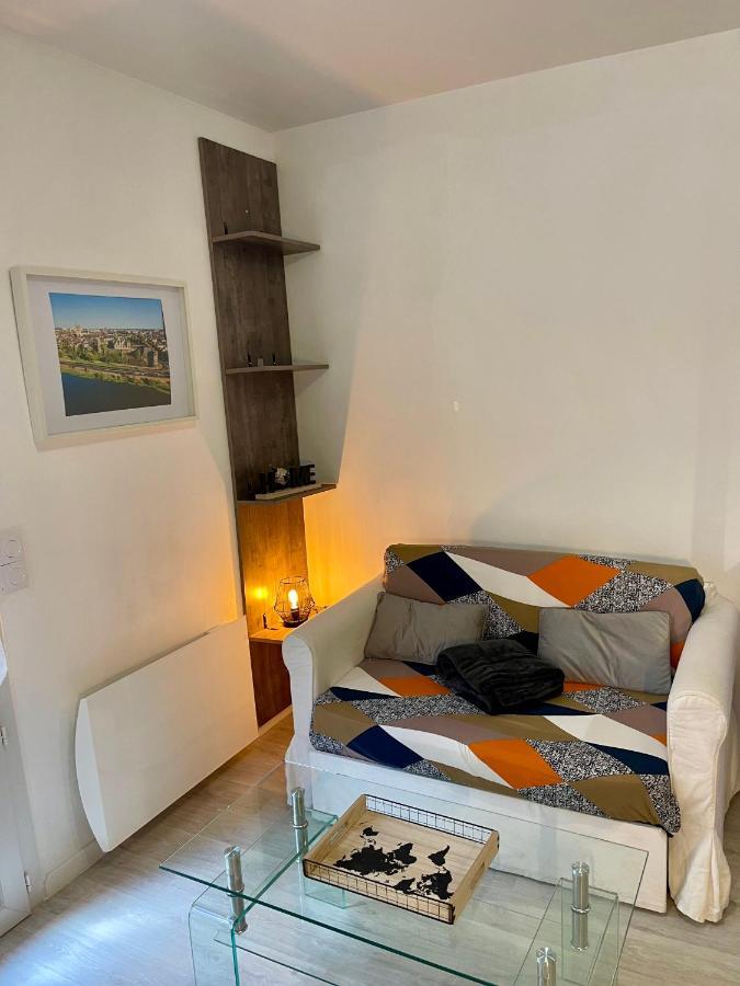 Апартаменты Duplex Hyper-Centre Avec Sa Cour Privee Анже Экстерьер фото